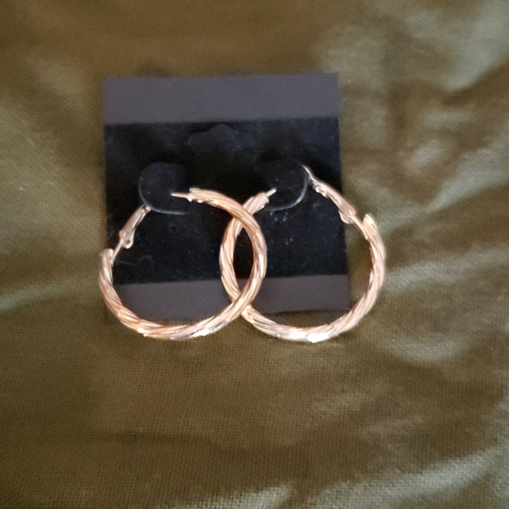 NWT Gold Tone hoops